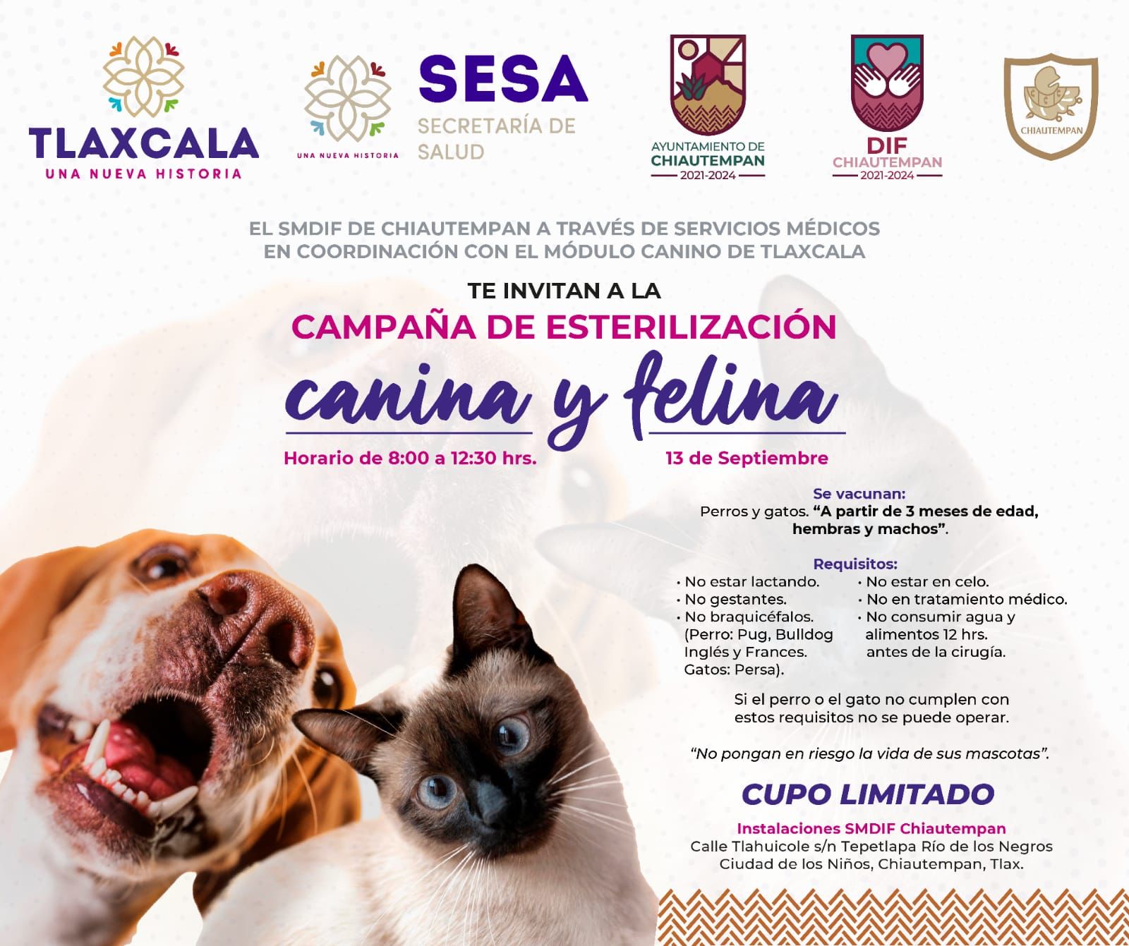 Invita SMDIF Chiautempan a campaña de esterilización y vacunación canina y felina